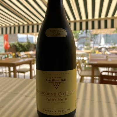 Pinot noir image
