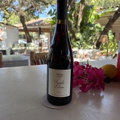 Domaine Leccia - Fronda di leccia image