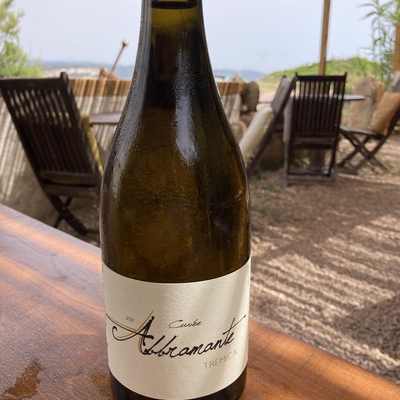 Cuvée Abbramante Tremica 2023 Casaglione image
