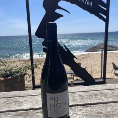 Domaine d'Alzipratu « cuvée Pumonte » image