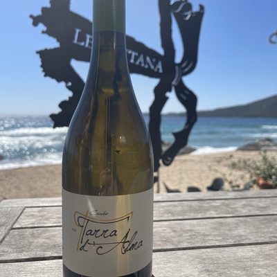 Domaine de Tremica « cuvée Tarra D’Alma » image