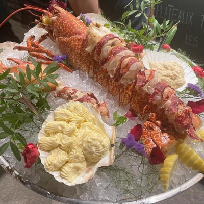 Langouste (pêche locale) image
