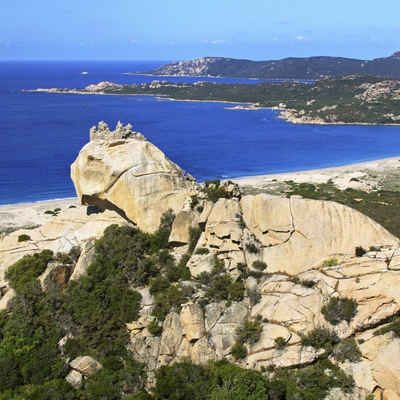 Lion de Rocapina image