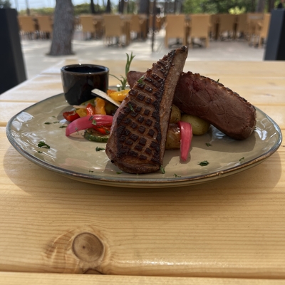 Magret de canard et sa sauce au miel image