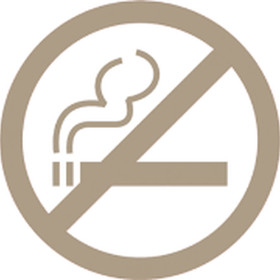 Toutes les chambres de l'hôtel sont strictement NON-FUMEUR image