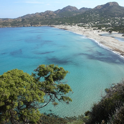 Plage de l'Ostriconi image