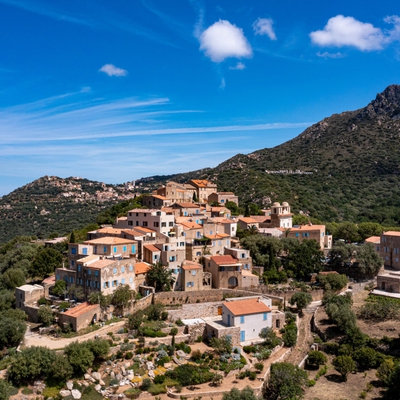 Pigna image
