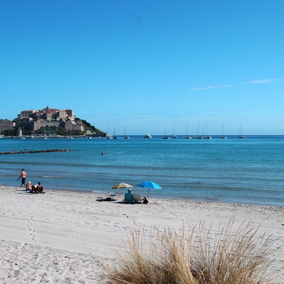 Plage de Calvi image