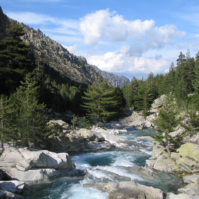 Restonica image