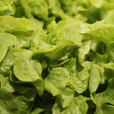 Salade verte image