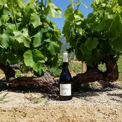 Domaine Saparale 50cl image