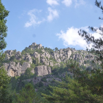 Vallée du Tavignano image