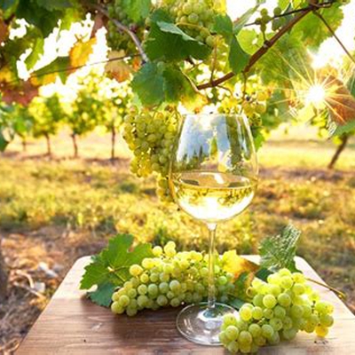 Le Verre de Vin image