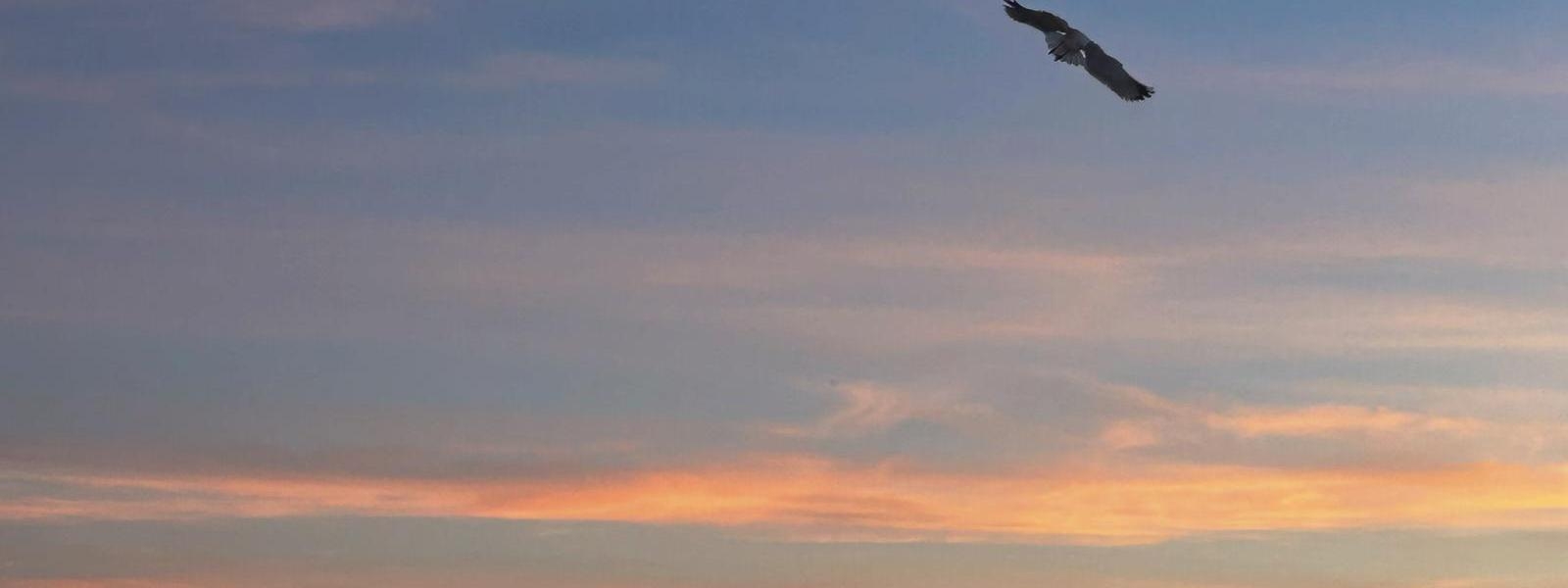 A Vela Bianca image header