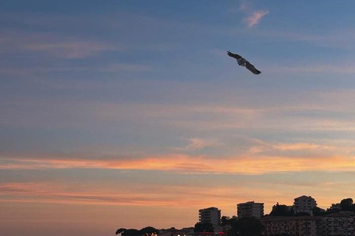 A Vela Bianca image header