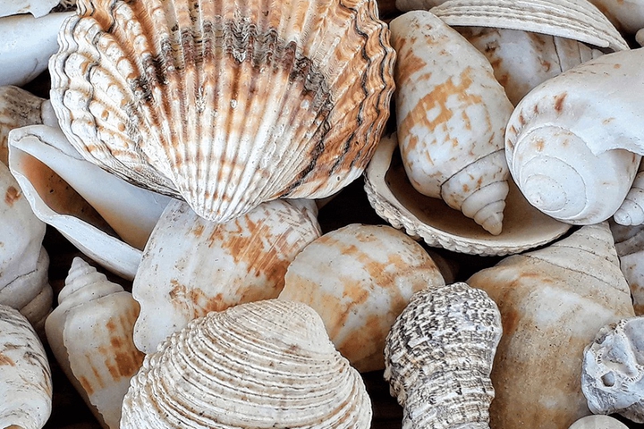 L'Agula Marina image header