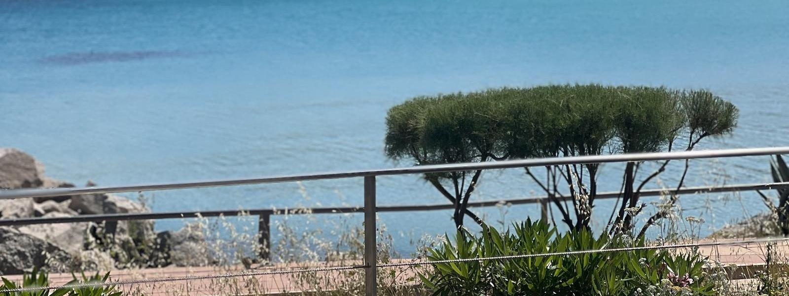 Le Rendez-Vous image header