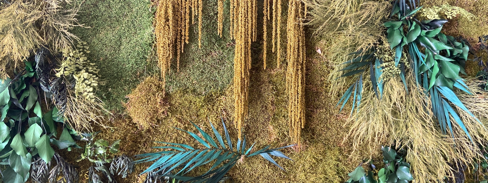 FLORA image header