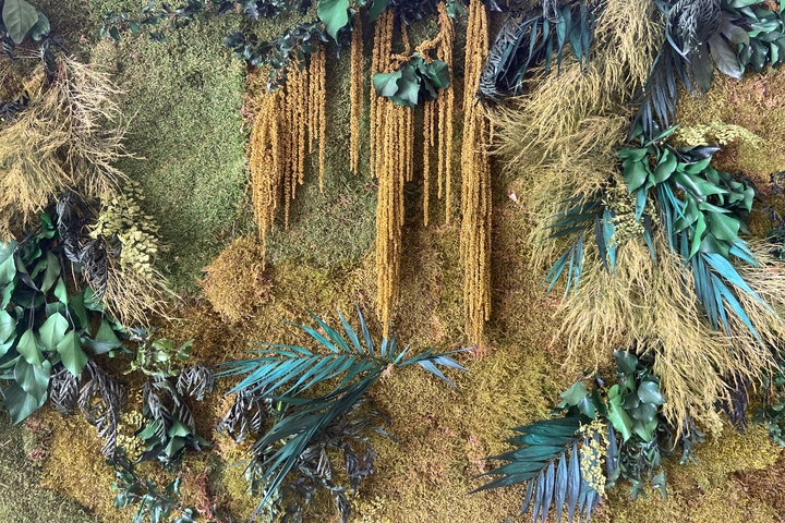 FLORA image header