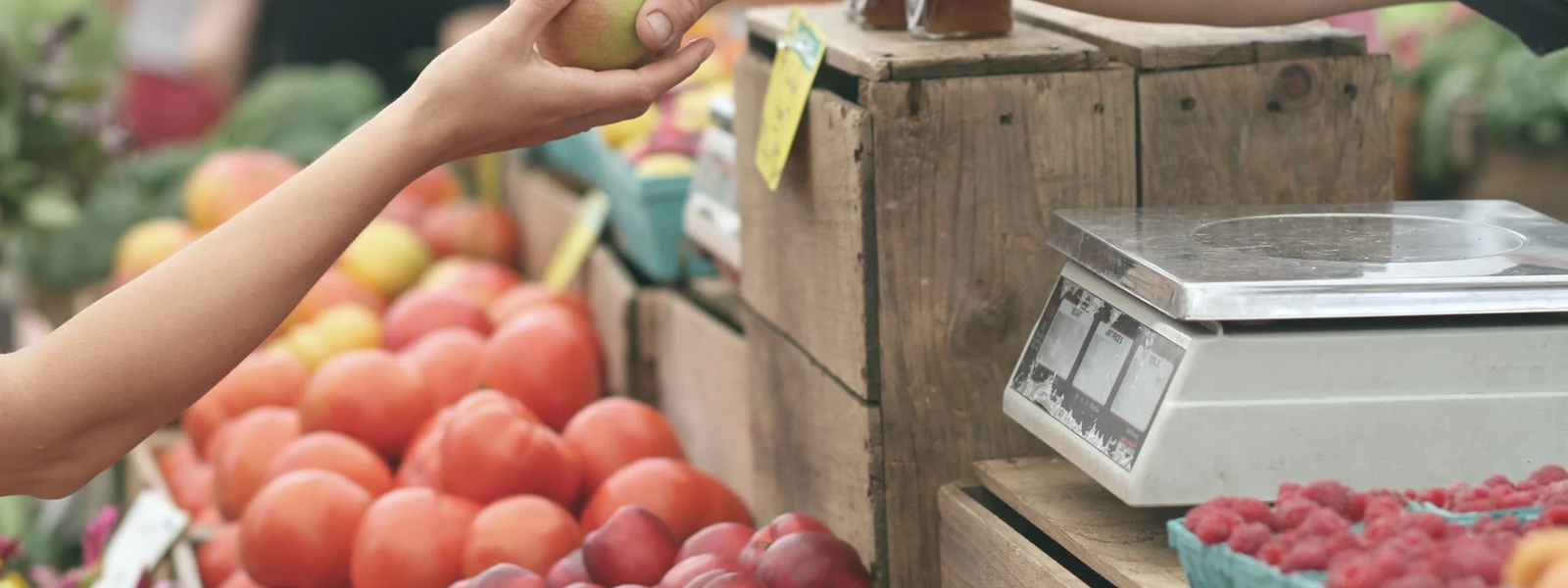 Mon épicerie image header